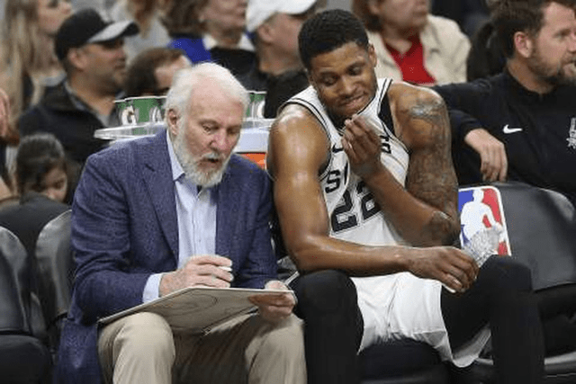 不仅可以提 不仅可以提