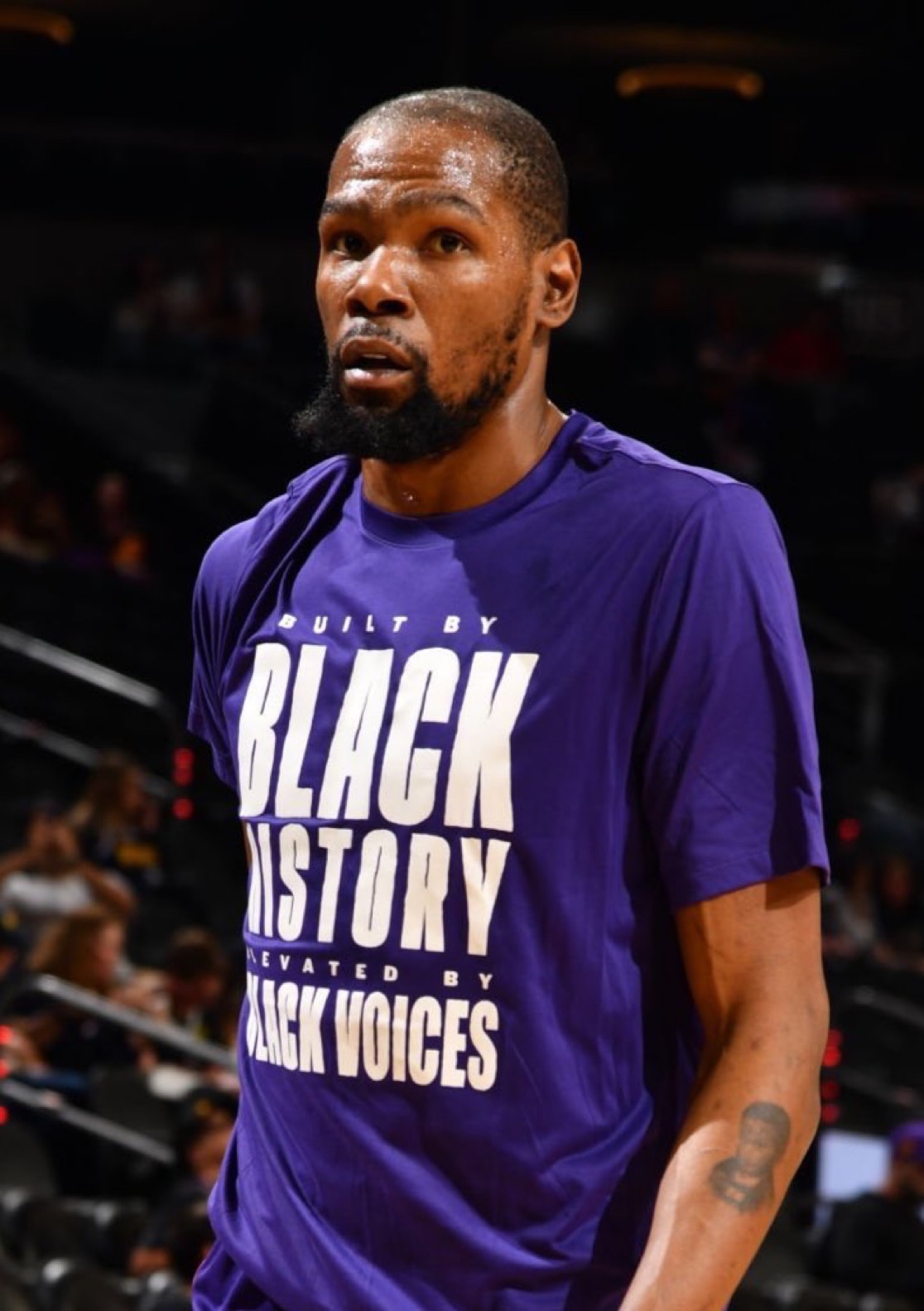 的一匹黑马 的一匹黑马